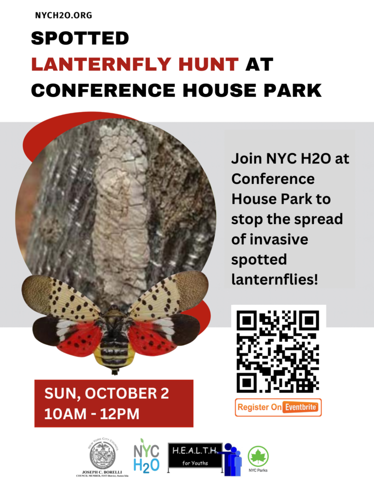 Spotted Lanternfly Hunt at Conference House Park